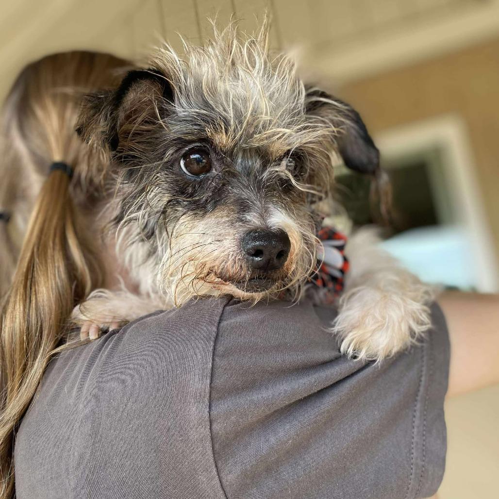 Spirit — thumbnail 4