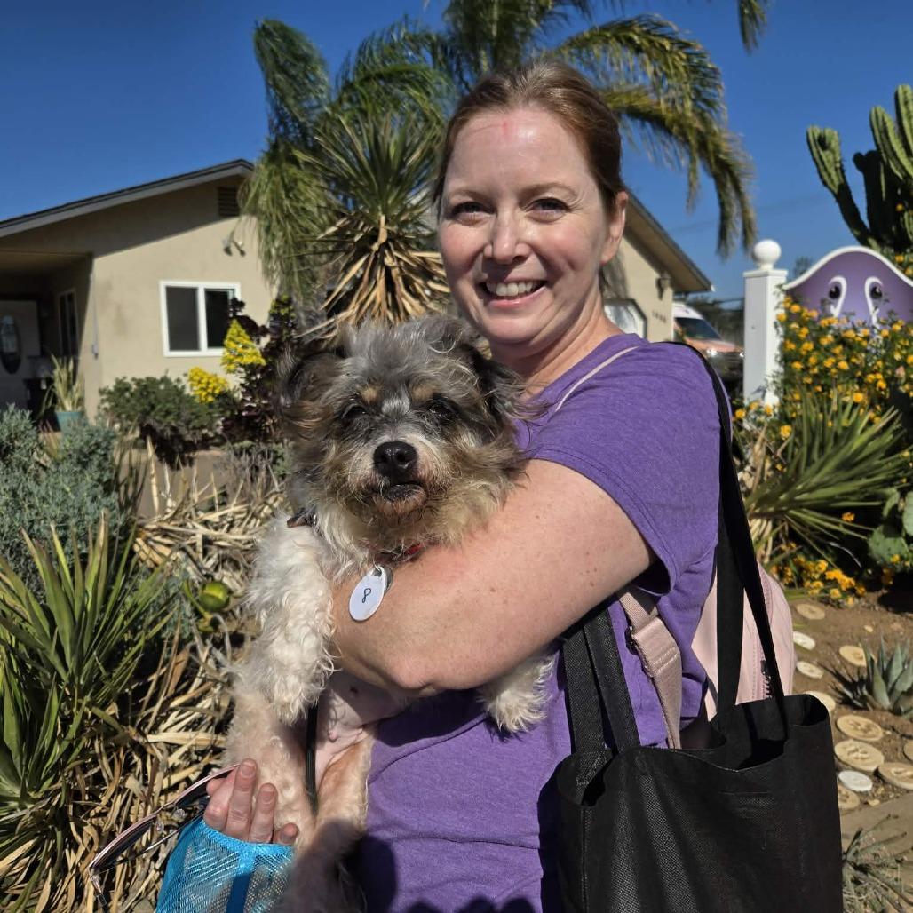 Spirit — thumbnail 6