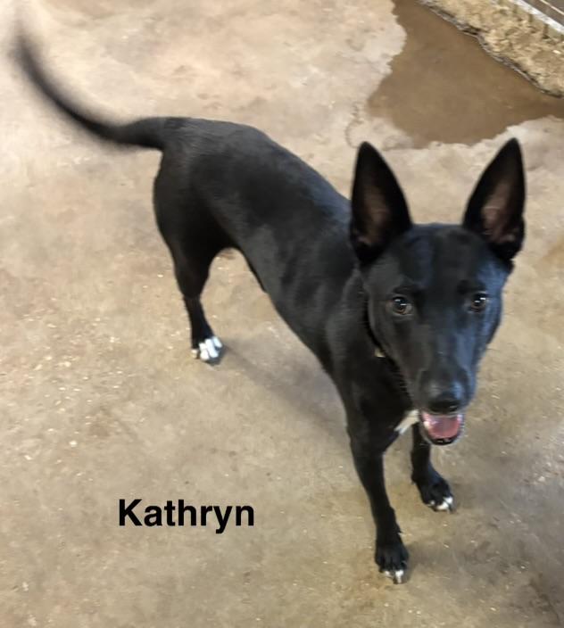 Kathryn — thumbnail 3