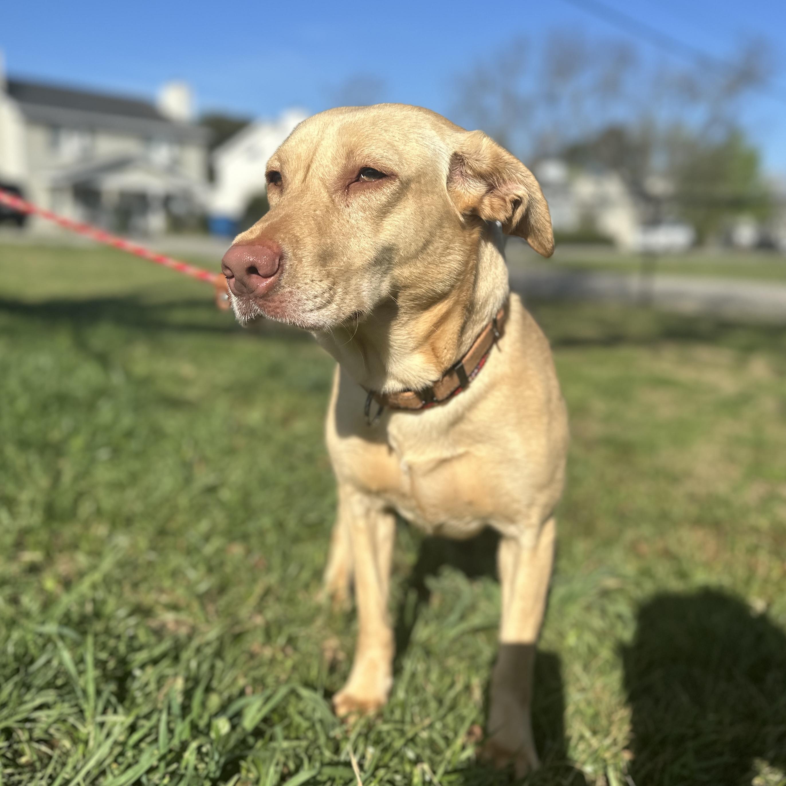 Clarkson — thumbnail 4