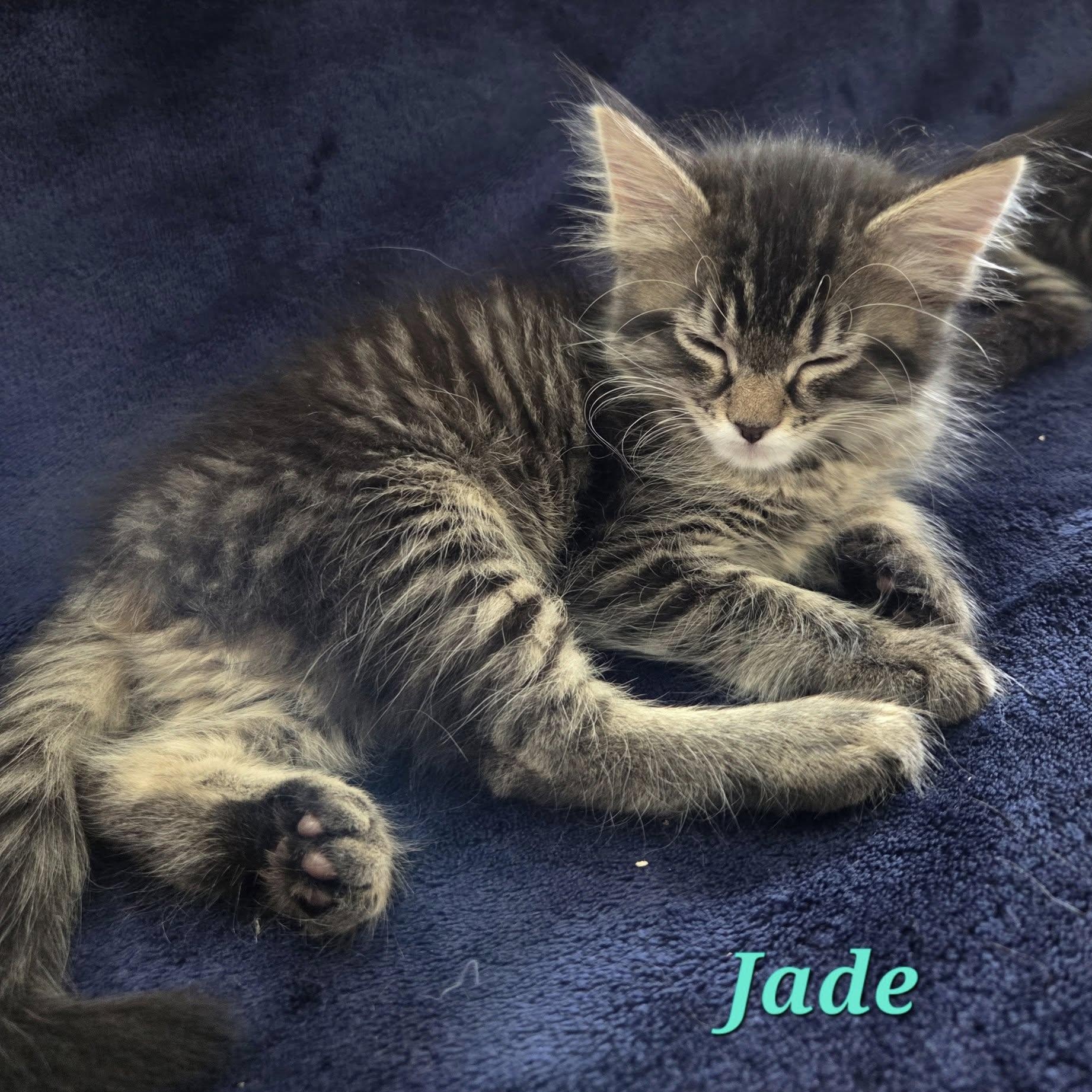 Jade