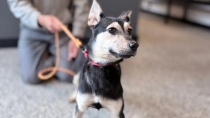 Versace — thumbnail 3