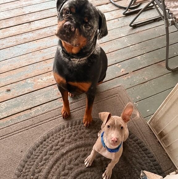 Trey Terrific Trio — thumbnail 2