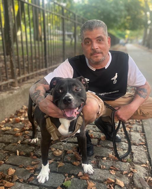 BabyJoJo, a Adoptable mixed breed in Brooklyn, NY image 5/6