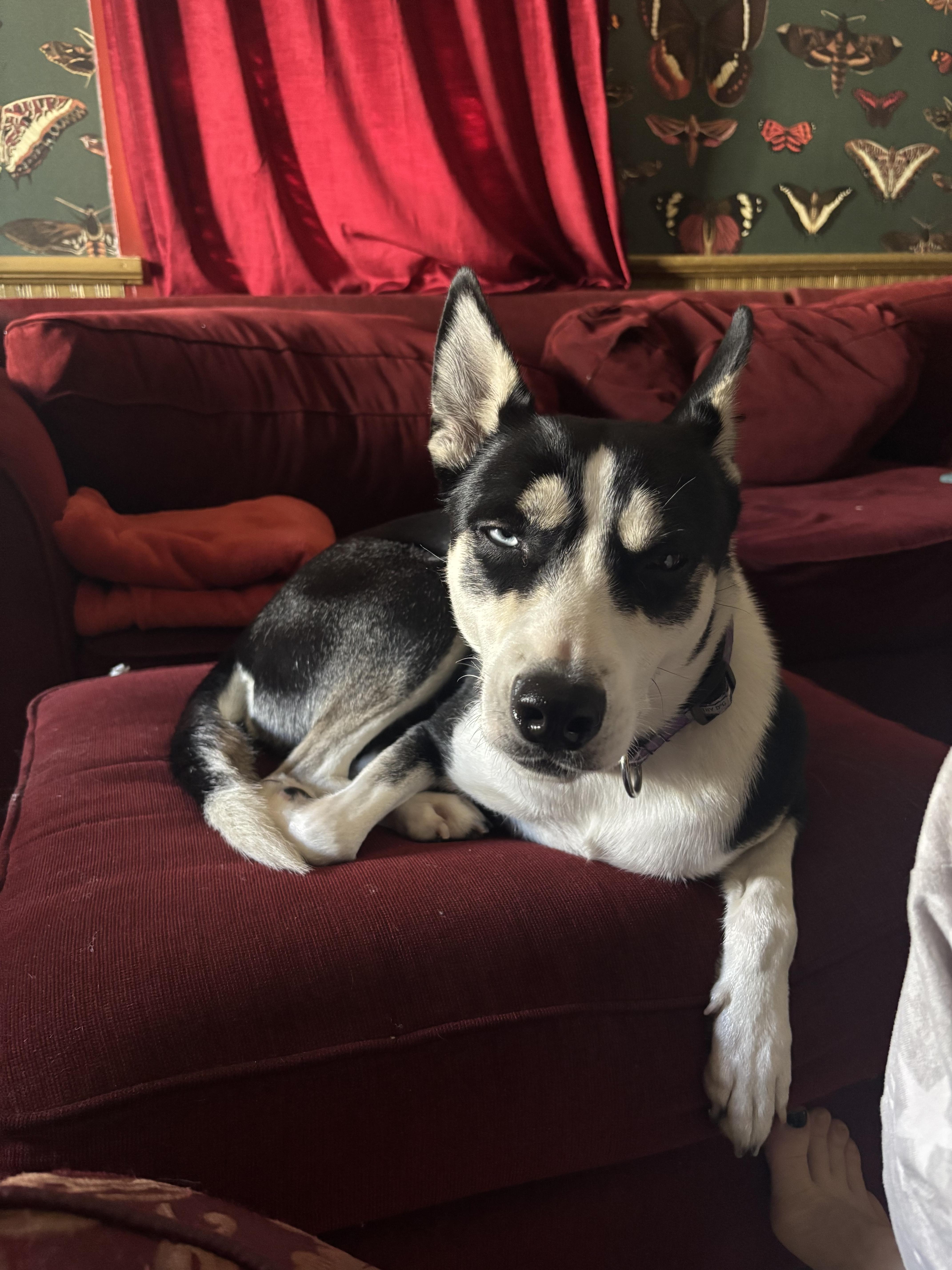 Freya