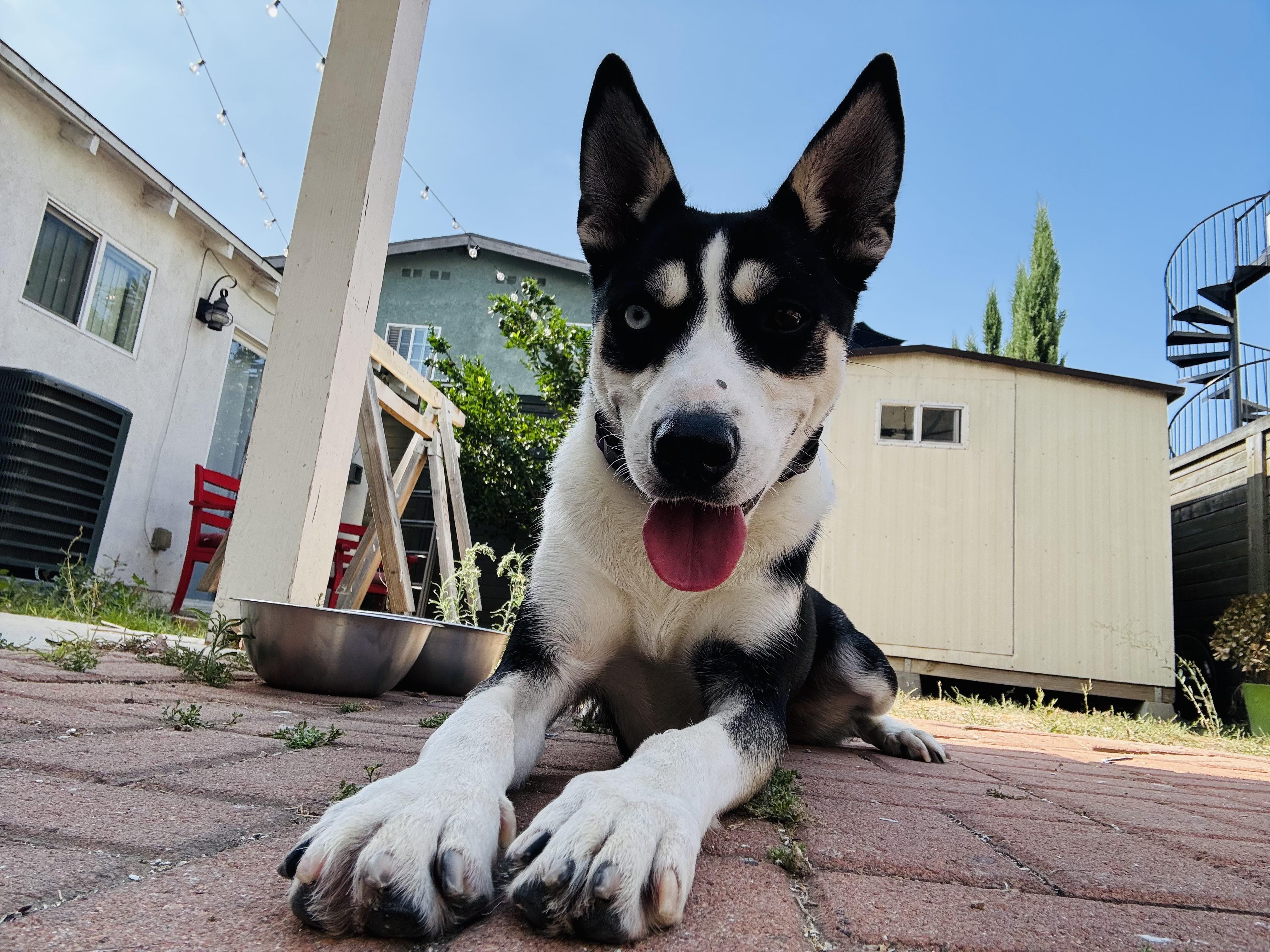 Freya
