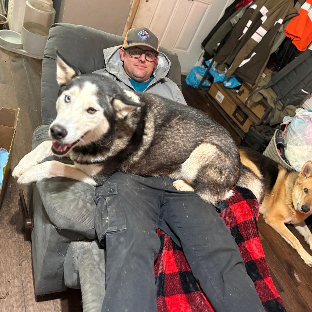 Rocky, a Adoptable mixed breed in Long Beach, CA image 3/5