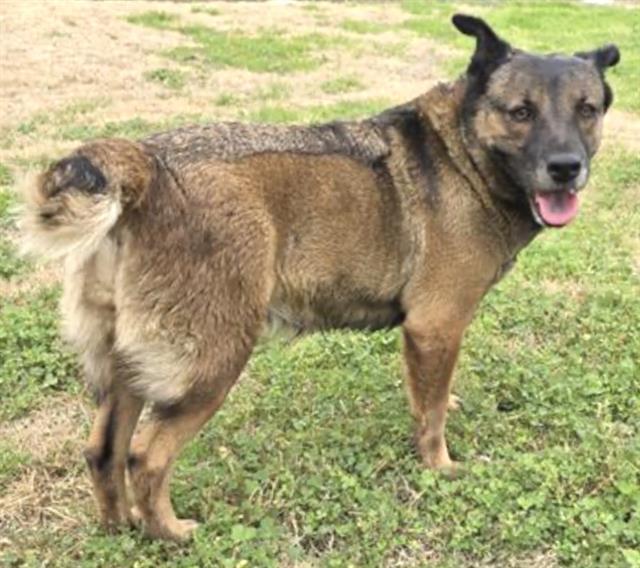 SALLY — thumbnail 2