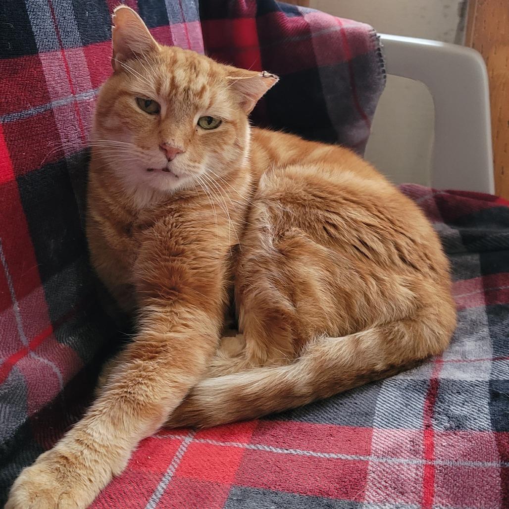 Roger — thumbnail 2