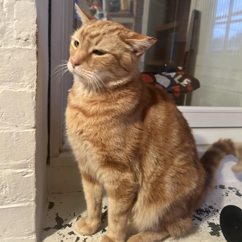 Roger — thumbnail 5