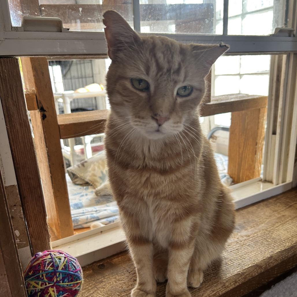 Roger — thumbnail 6