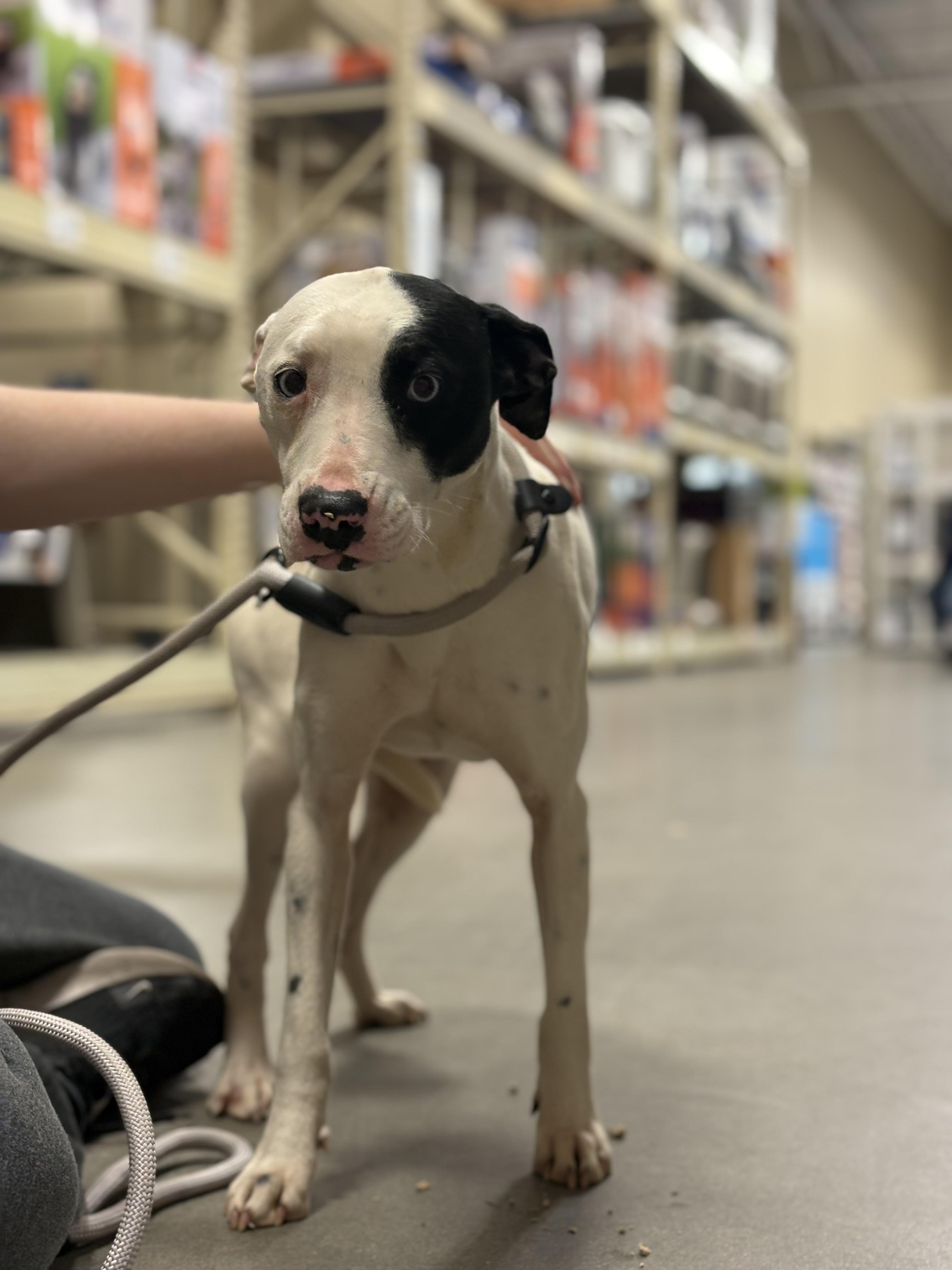 Zoey Nelle — thumbnail 2