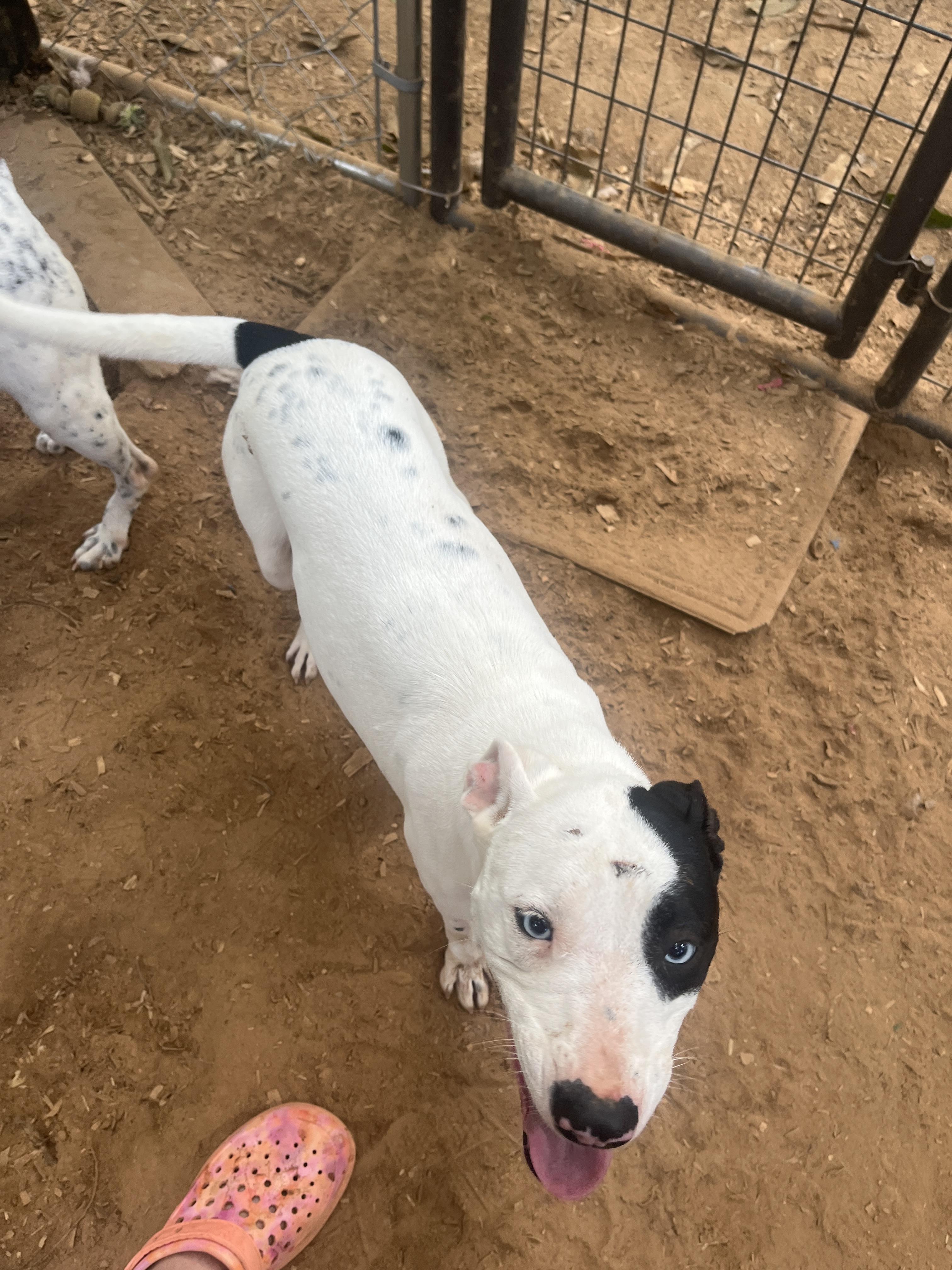 Zoey Nelle — thumbnail 3