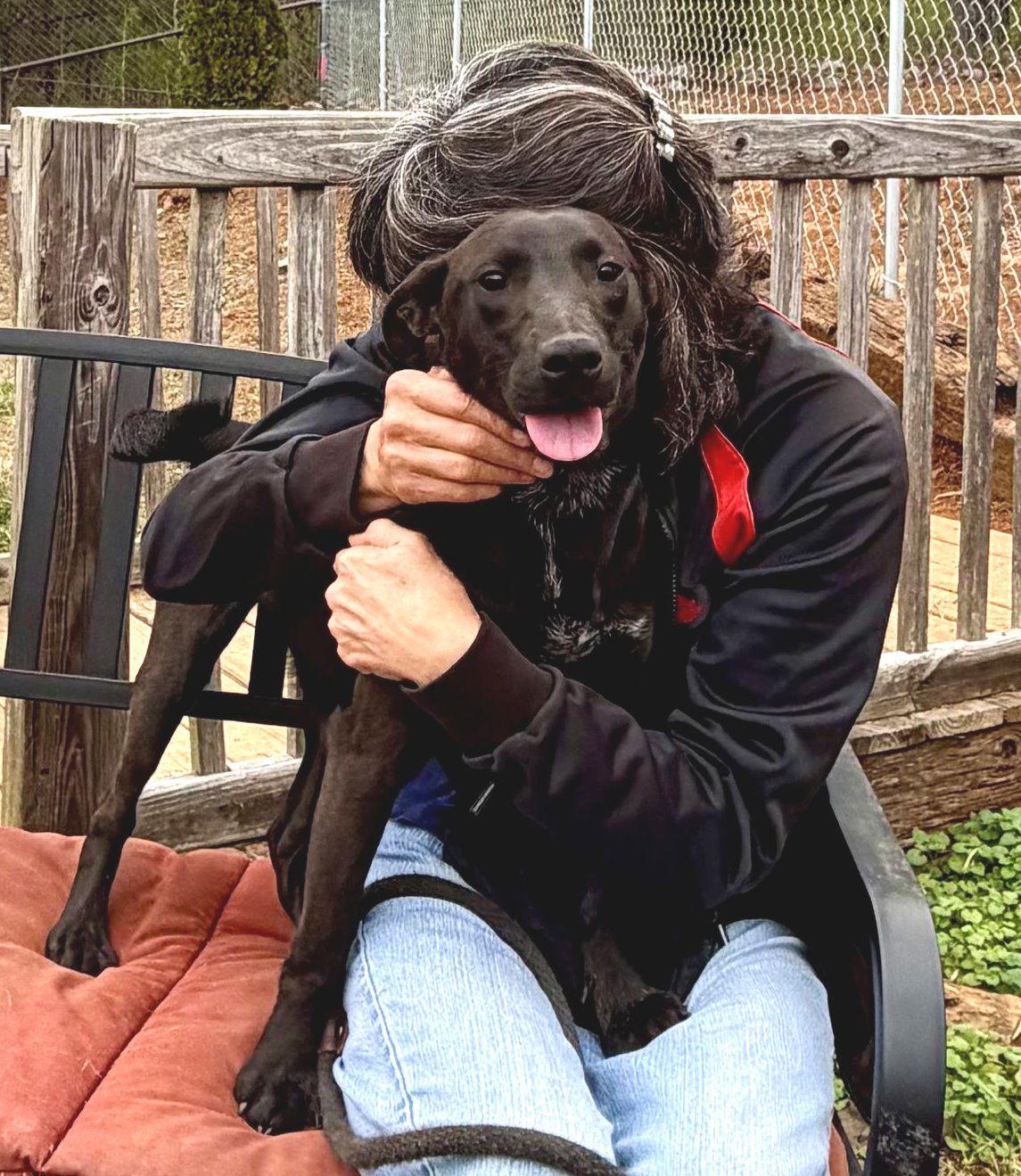 Enlarge Atha, a Adopted mixed breed in Carrollton, GA image 2/3