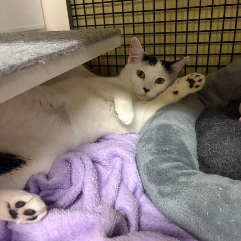 Fabian — thumbnail 2