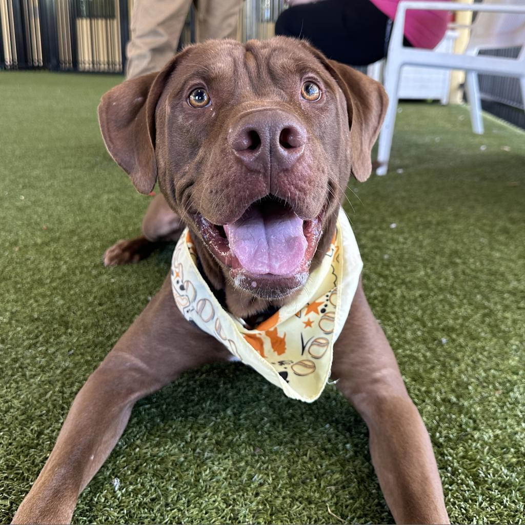 Freddie Mercury thumbnail 2