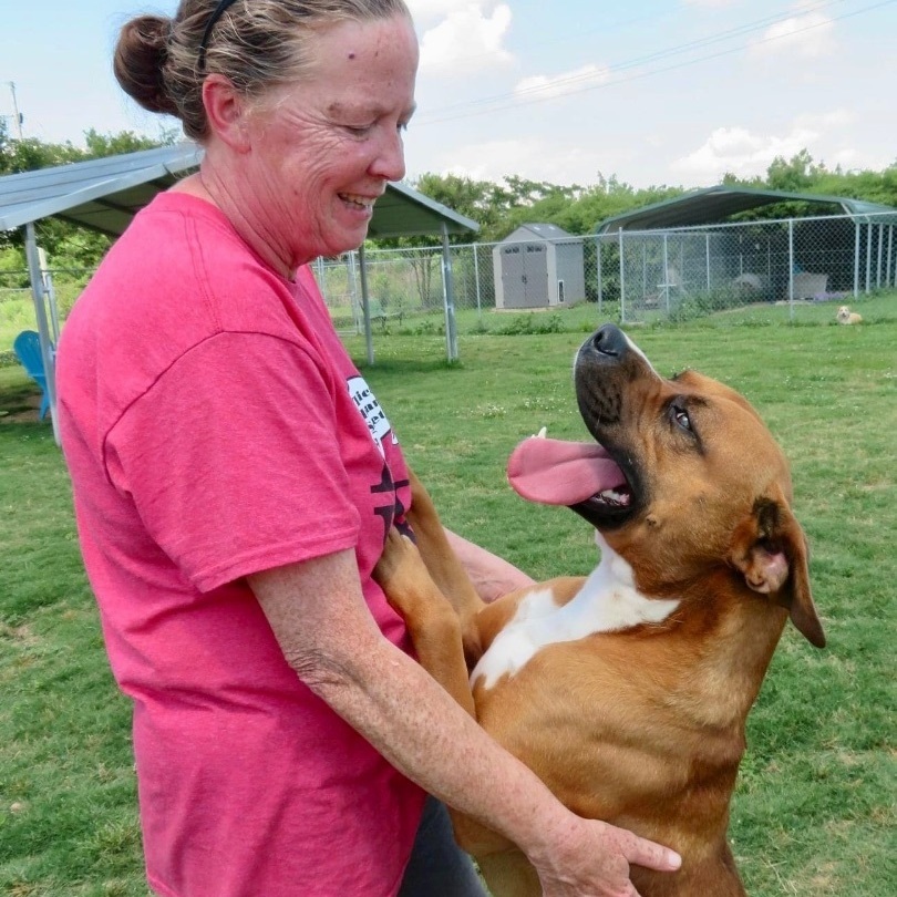 Enlarge Bruno, a Adoptable mixed breed in Southaven , MS image 5/5
