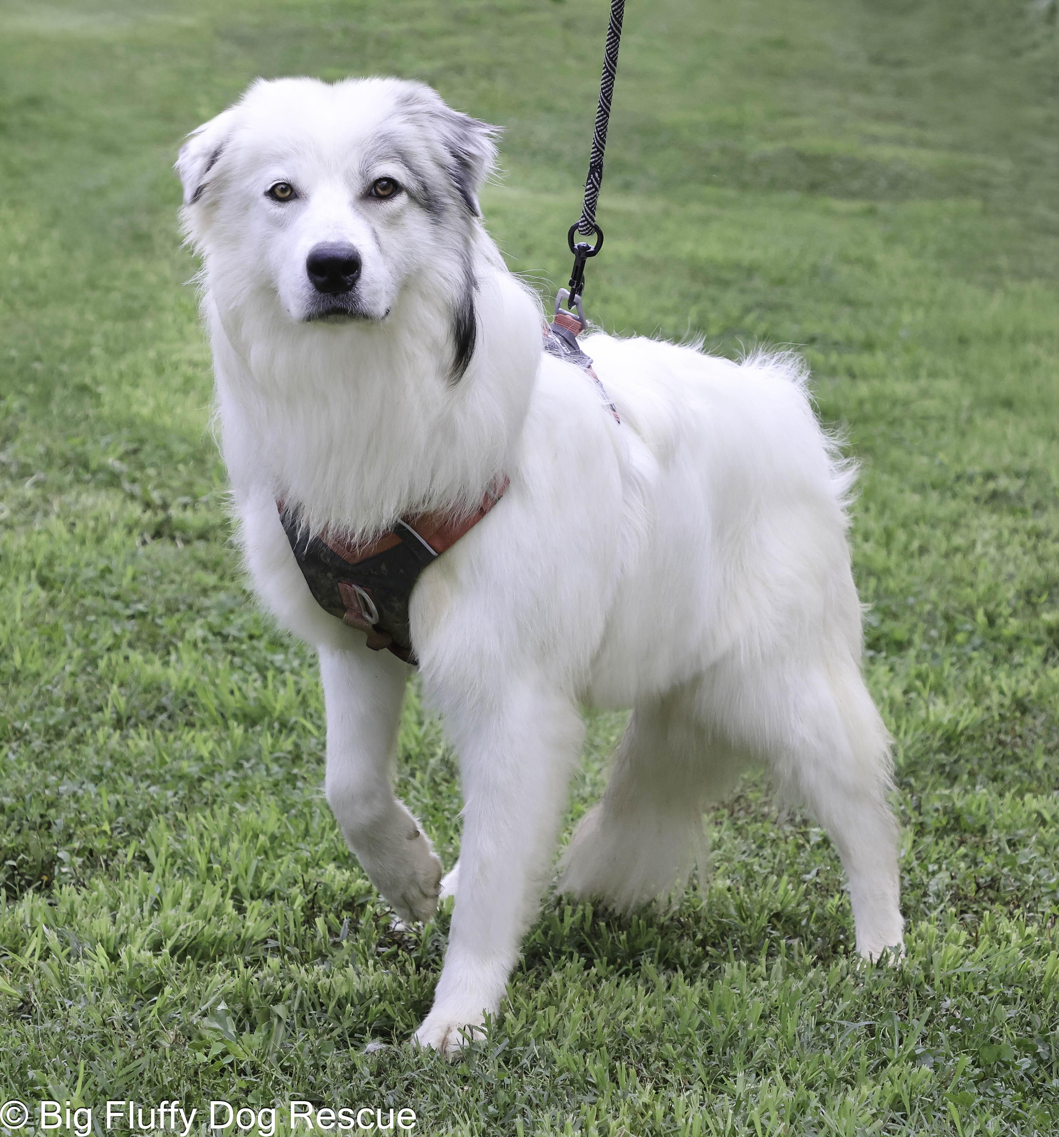 Misty — thumbnail 2