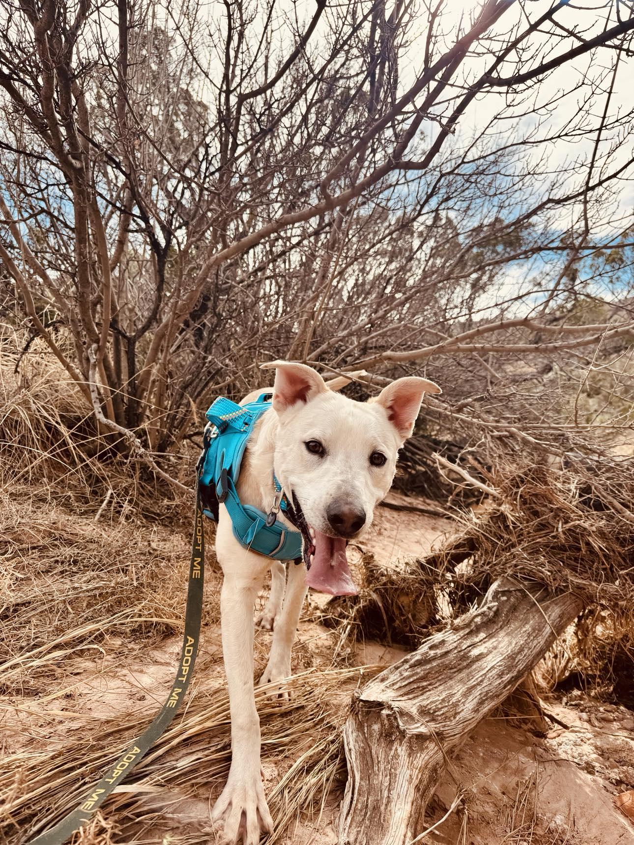 Jax photo 3