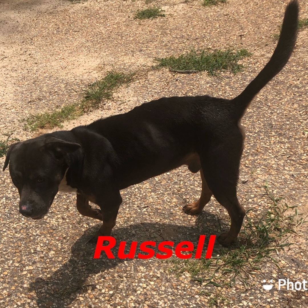 Russell photo 2