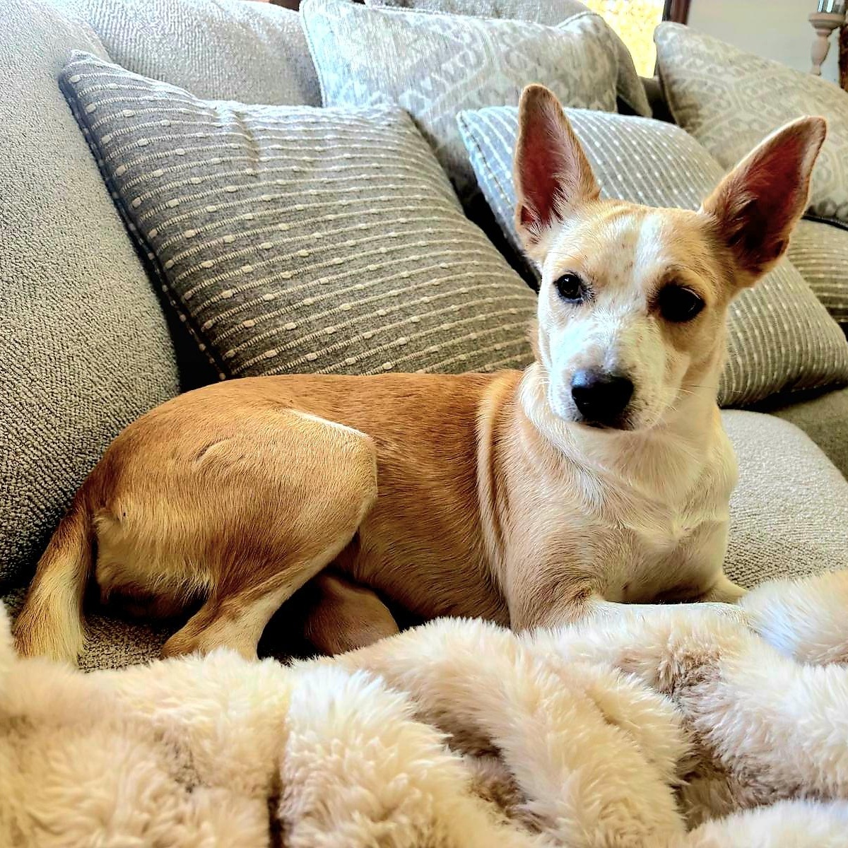 XIMENA (in NY and ready for a meet and greet)