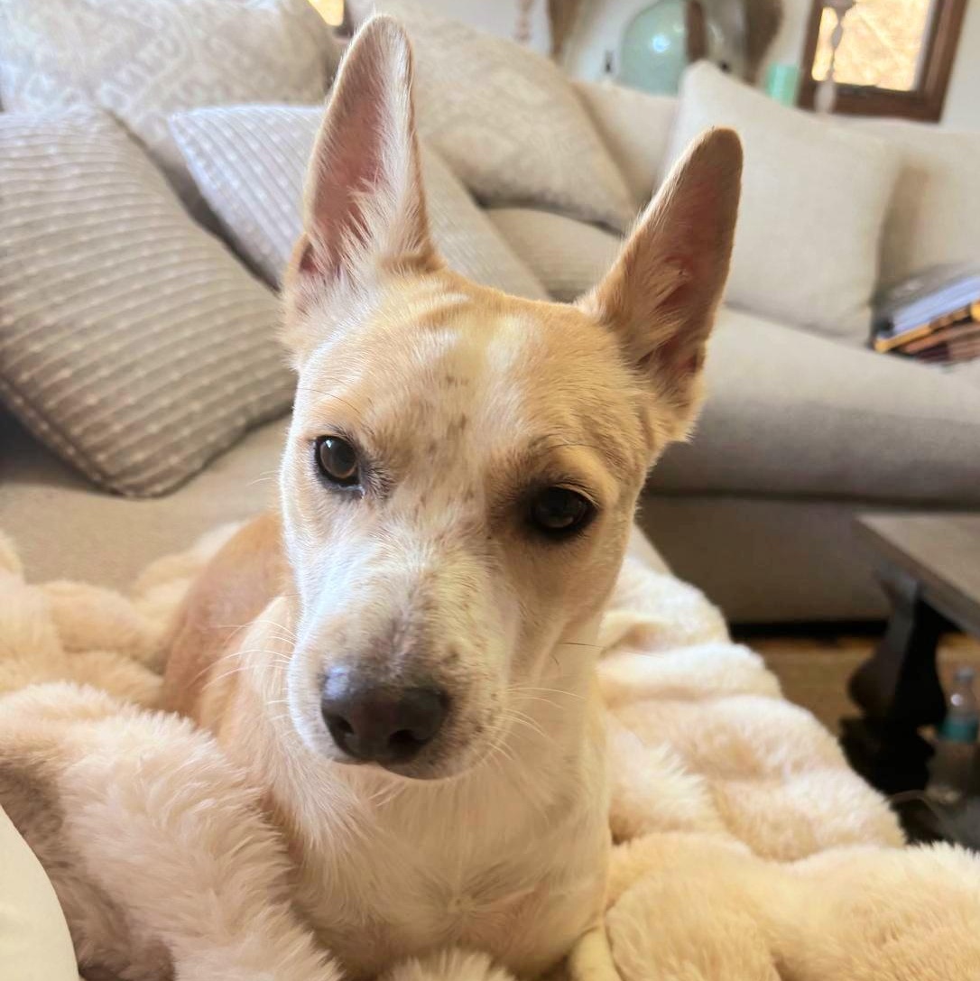 XIMENA (in NY and ready for a meet and greet) 5