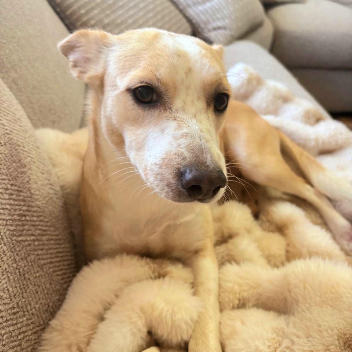 XIMENA (in NY and ready for a meet and greet) 2