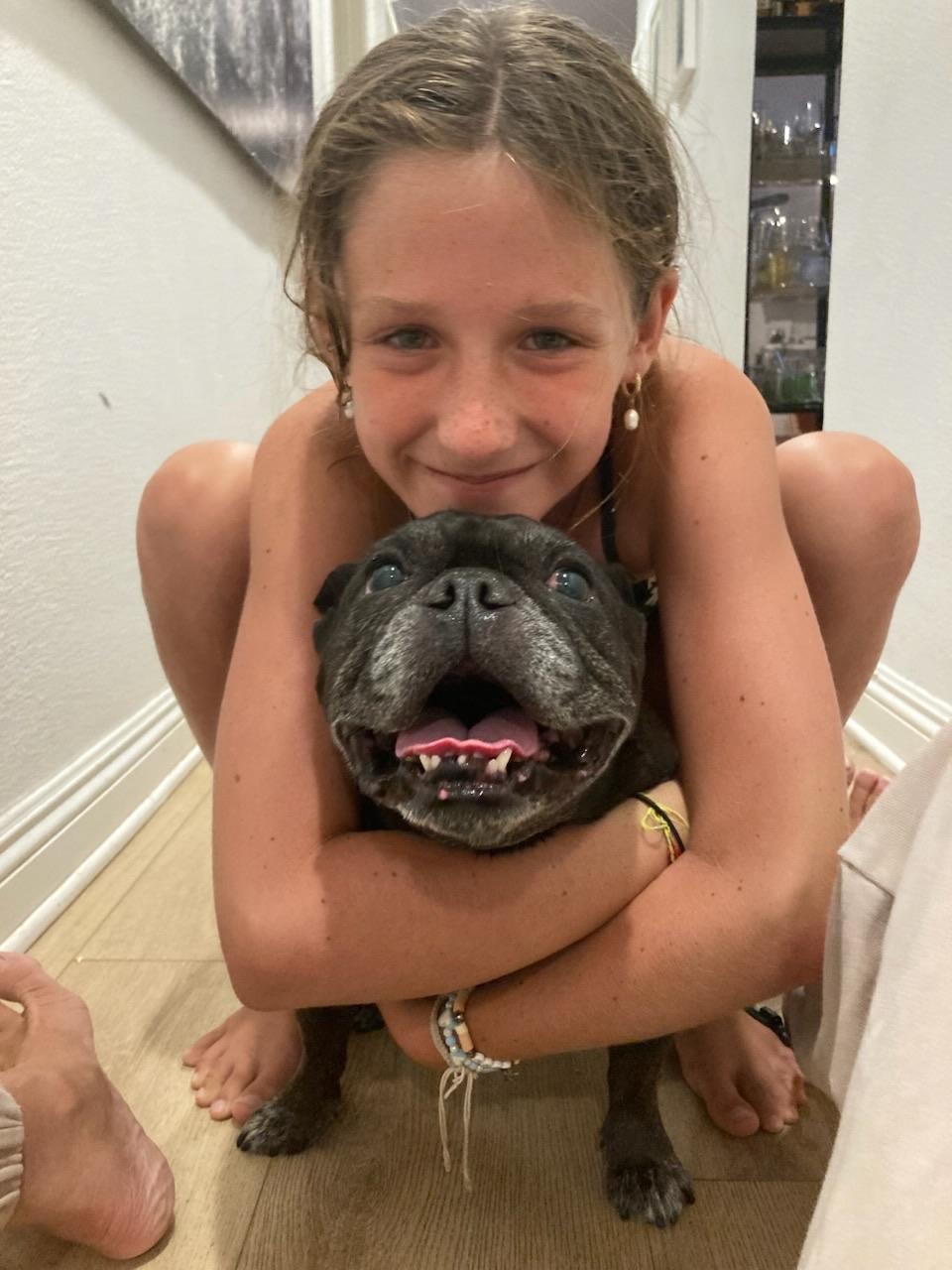 Luna, a Adoptable French Bulldog in Irvine, CA image 5/6