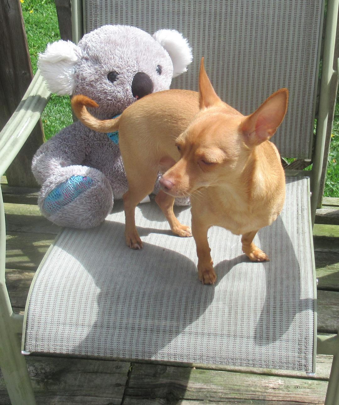 Cooper photo 5