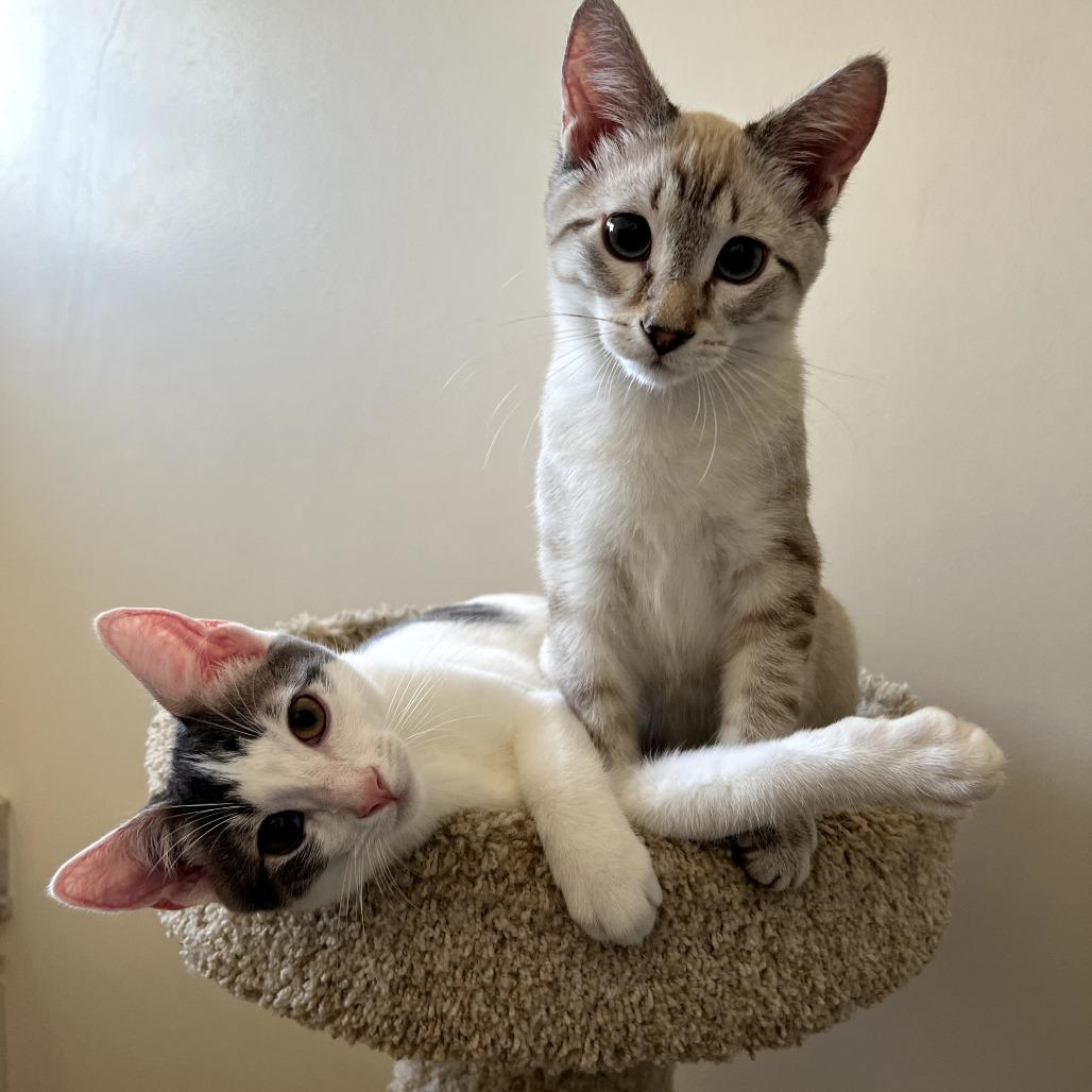 Lucy — thumbnail 2