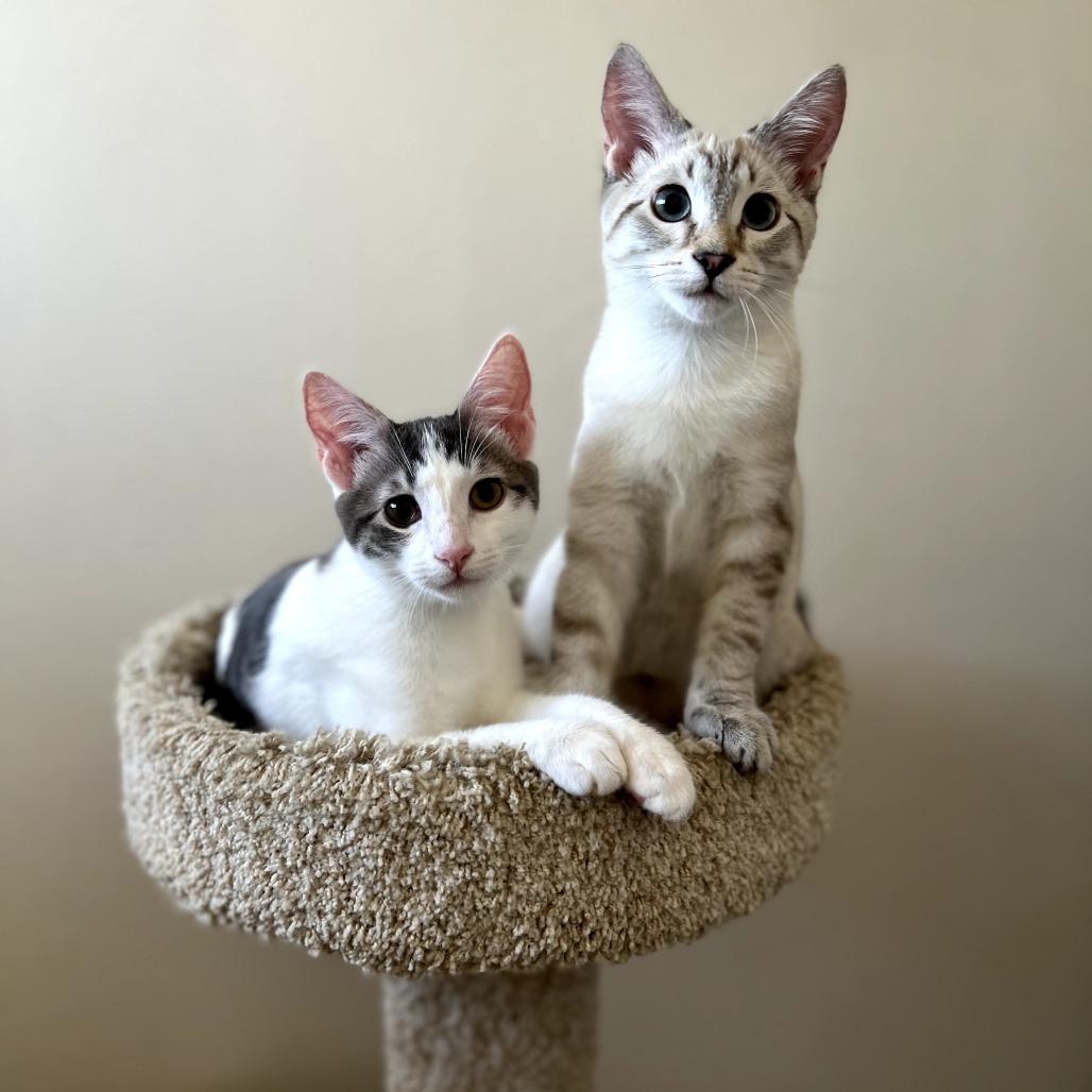 Lucy — thumbnail 3