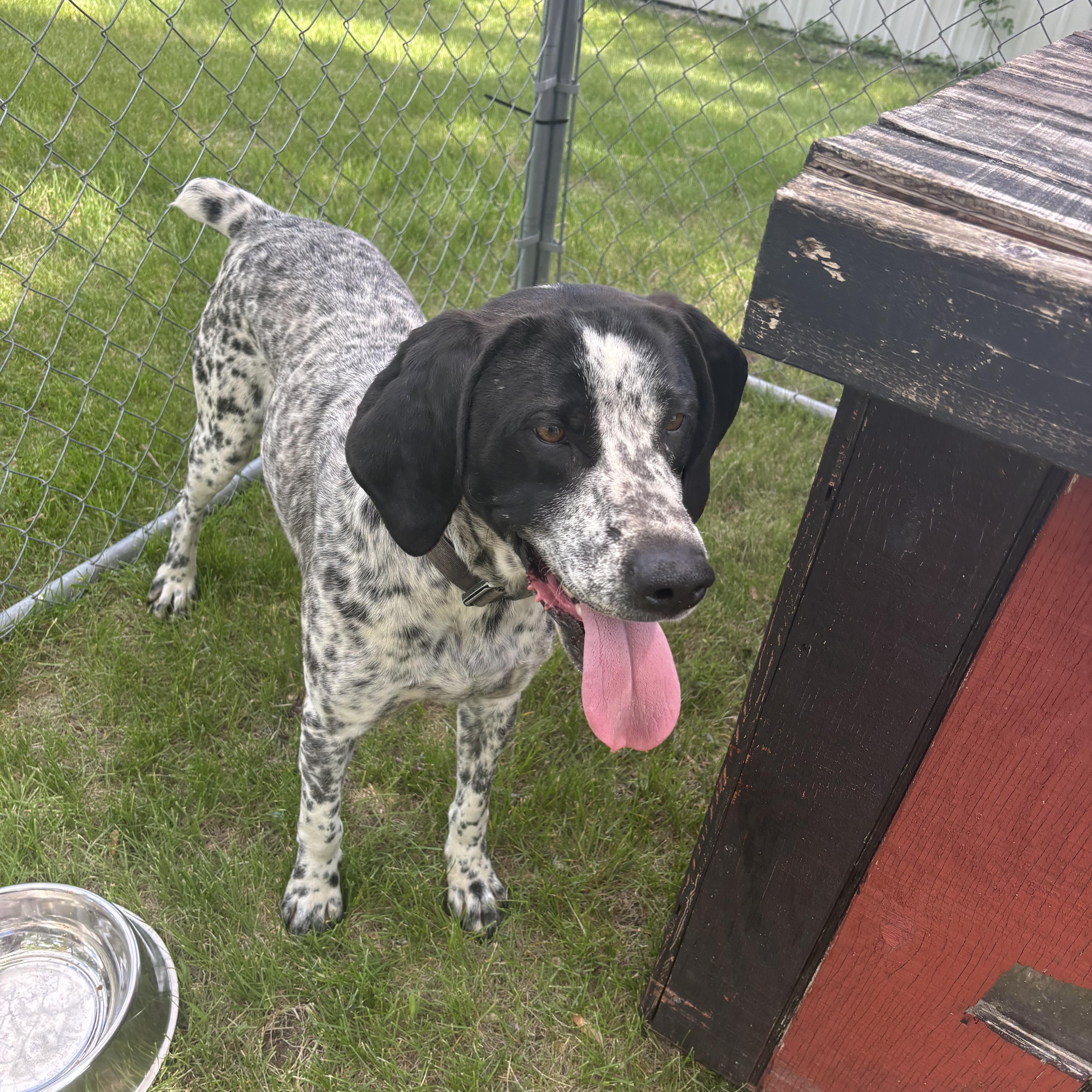 Bo