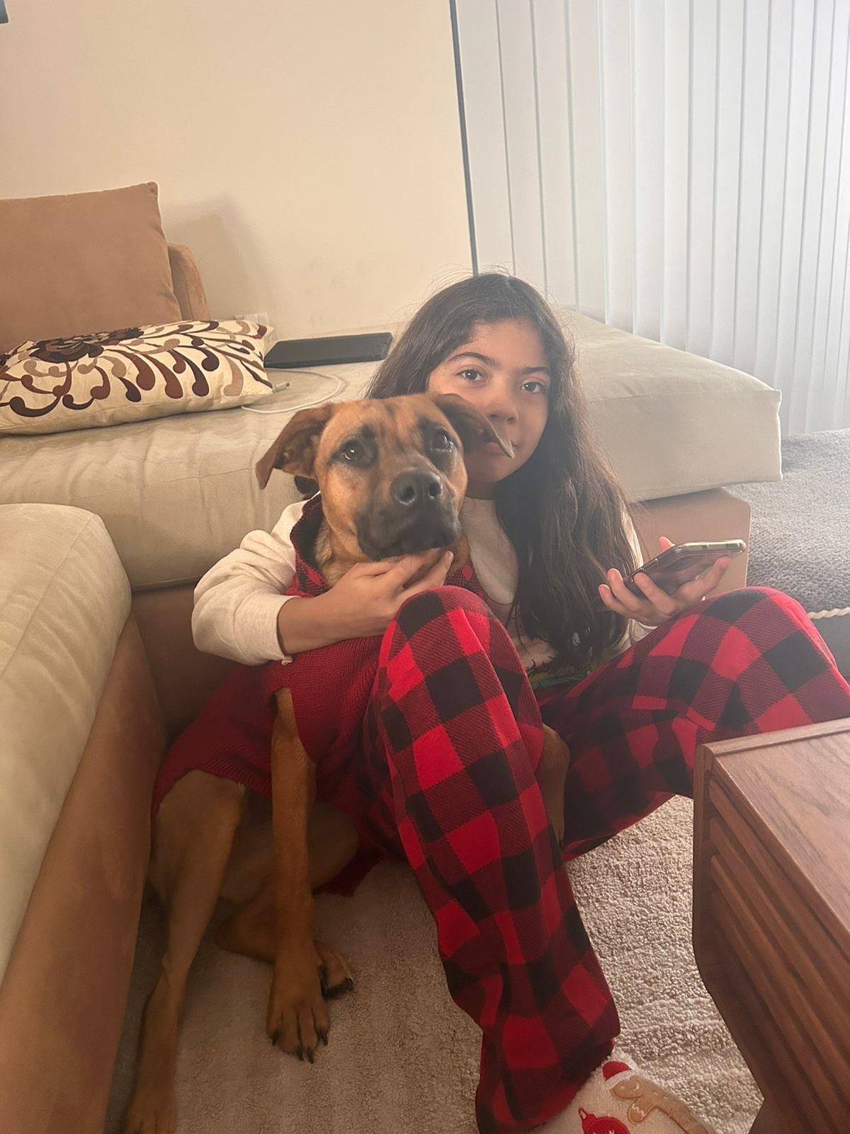 Texas, an adoptable Belgian Shepherd / Tervuren in Homestead, FL, 33034 | Photo Image 4