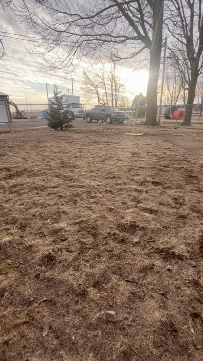 Enlarge Belle, a Adopted mixed breed in Appleton, WI video 6/6