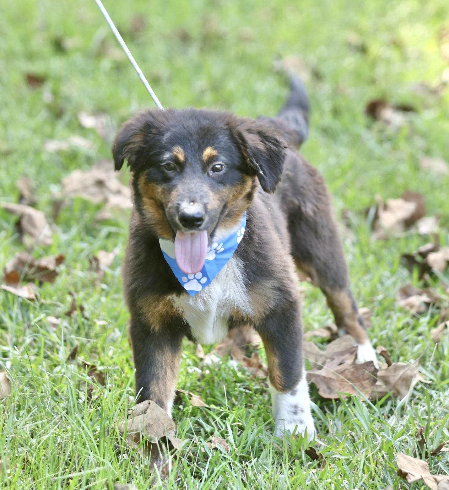 Oakley