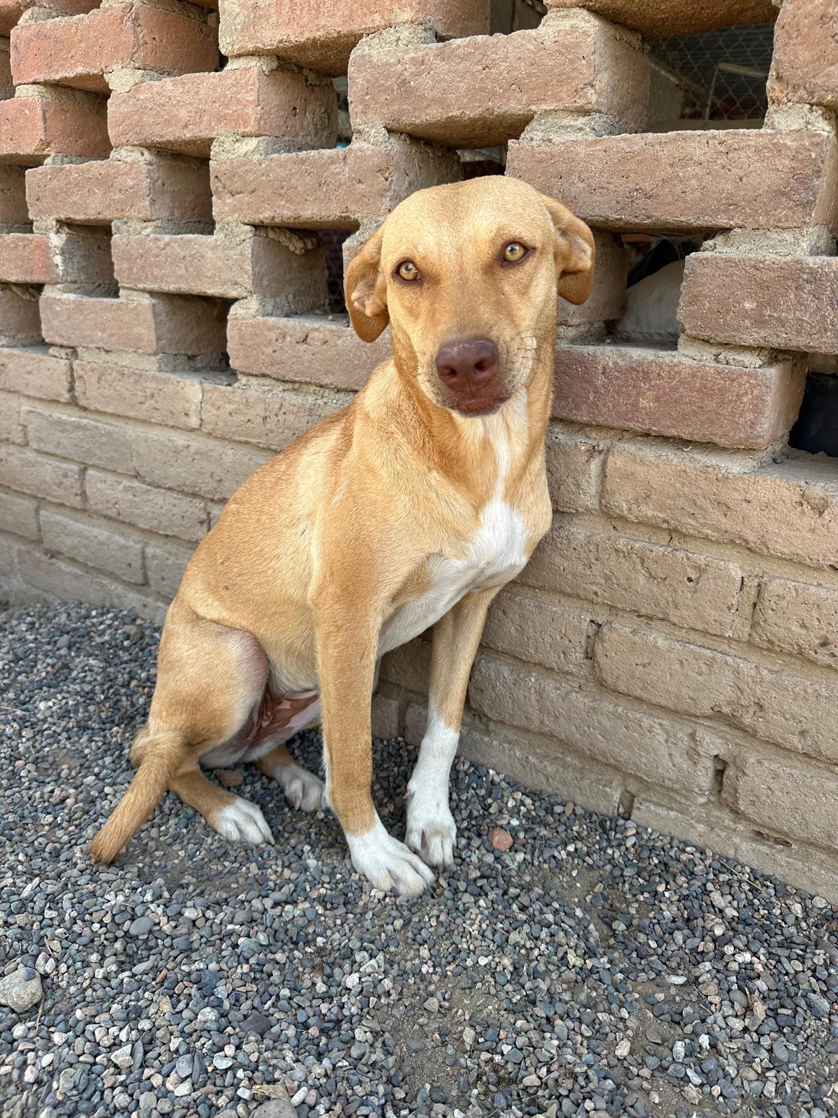 Paulina — thumbnail 2