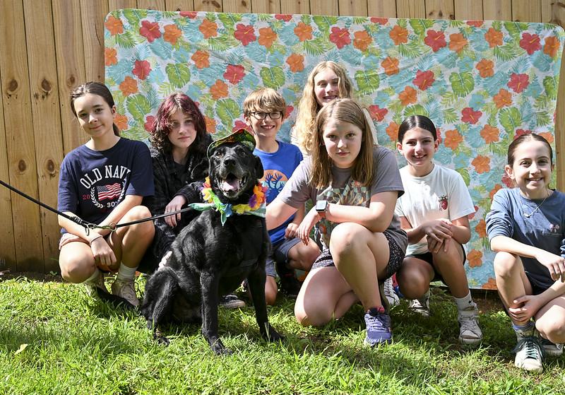 Enlarge Charlie, a Adoptable mixed breed in Marietta, GA image 2/2