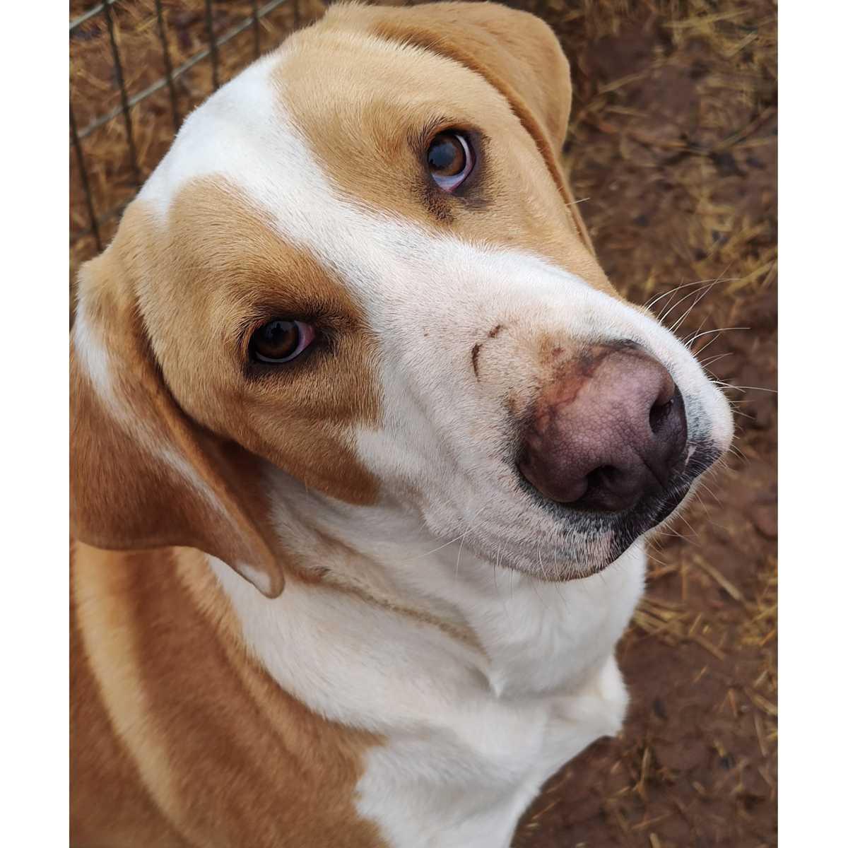 Tucker