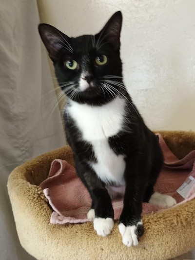 Alice — thumbnail 4