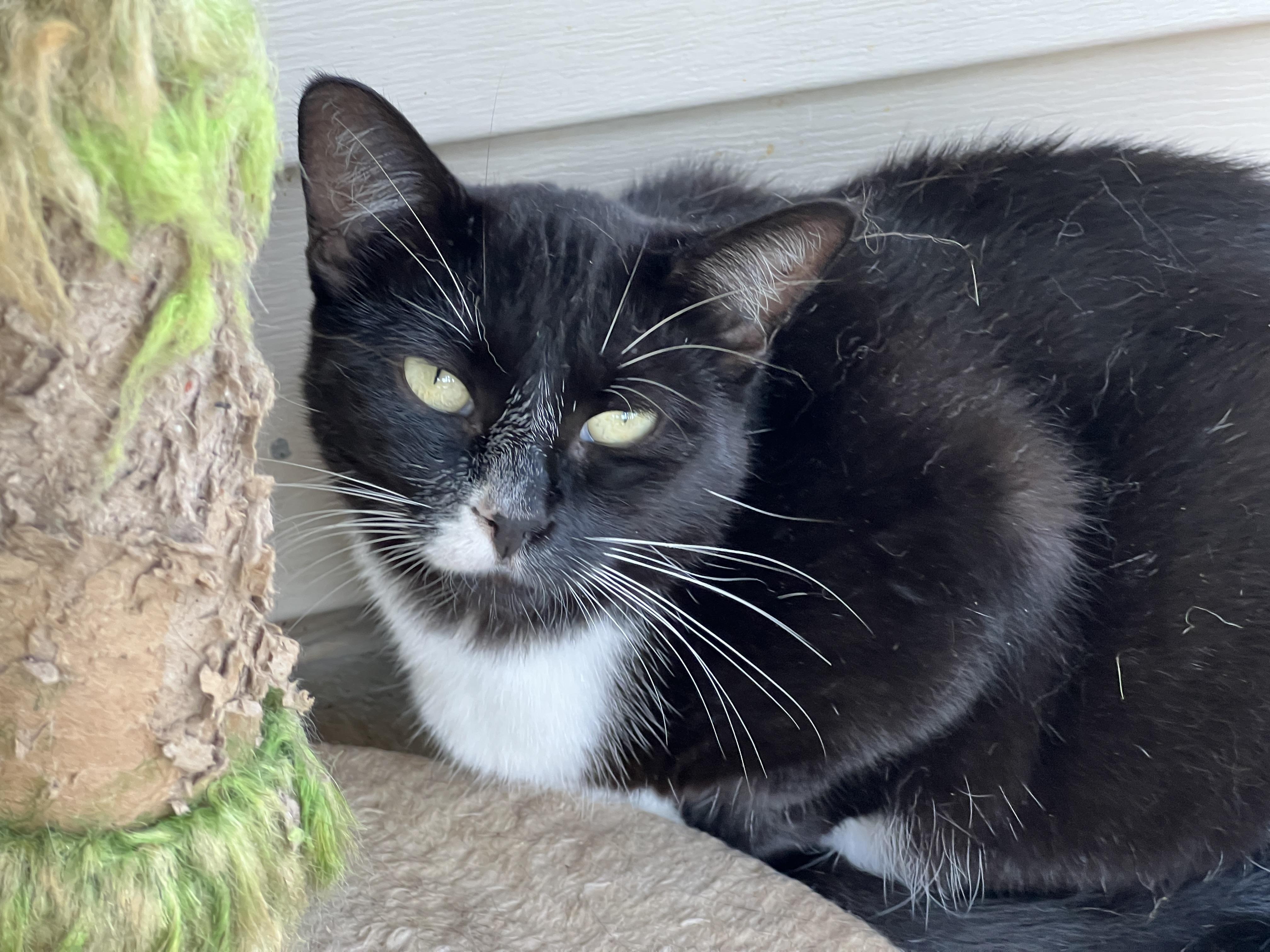 Alice — thumbnail 5