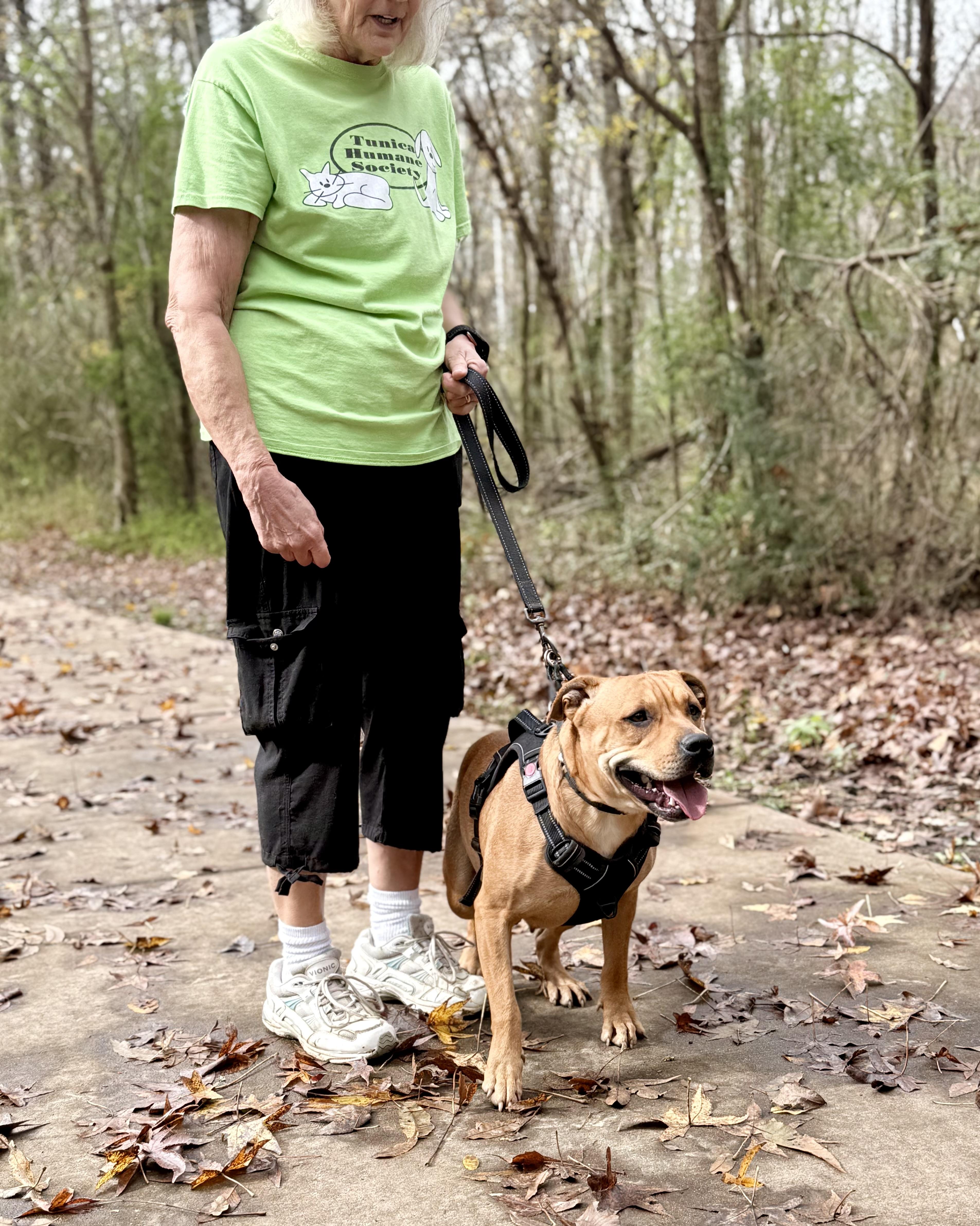 Strawberry — thumbnail 2