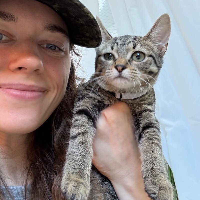 Bronx New York — thumbnail 5