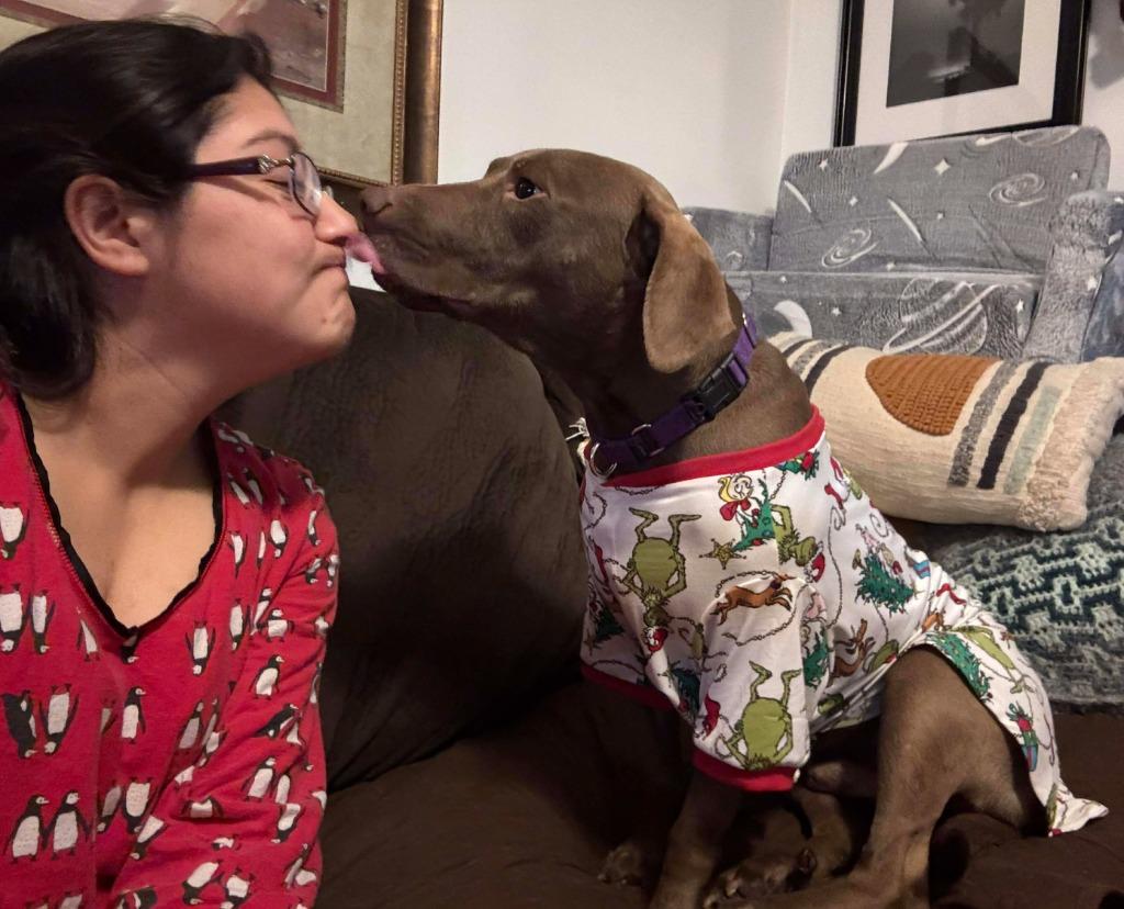 Brownie, a Adoptable mixed breed in Hartsville, SC image 5/6