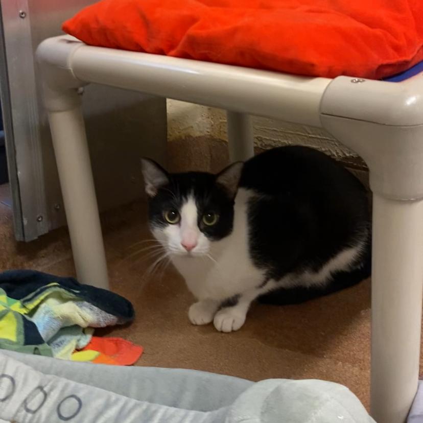 Poke — thumbnail 5