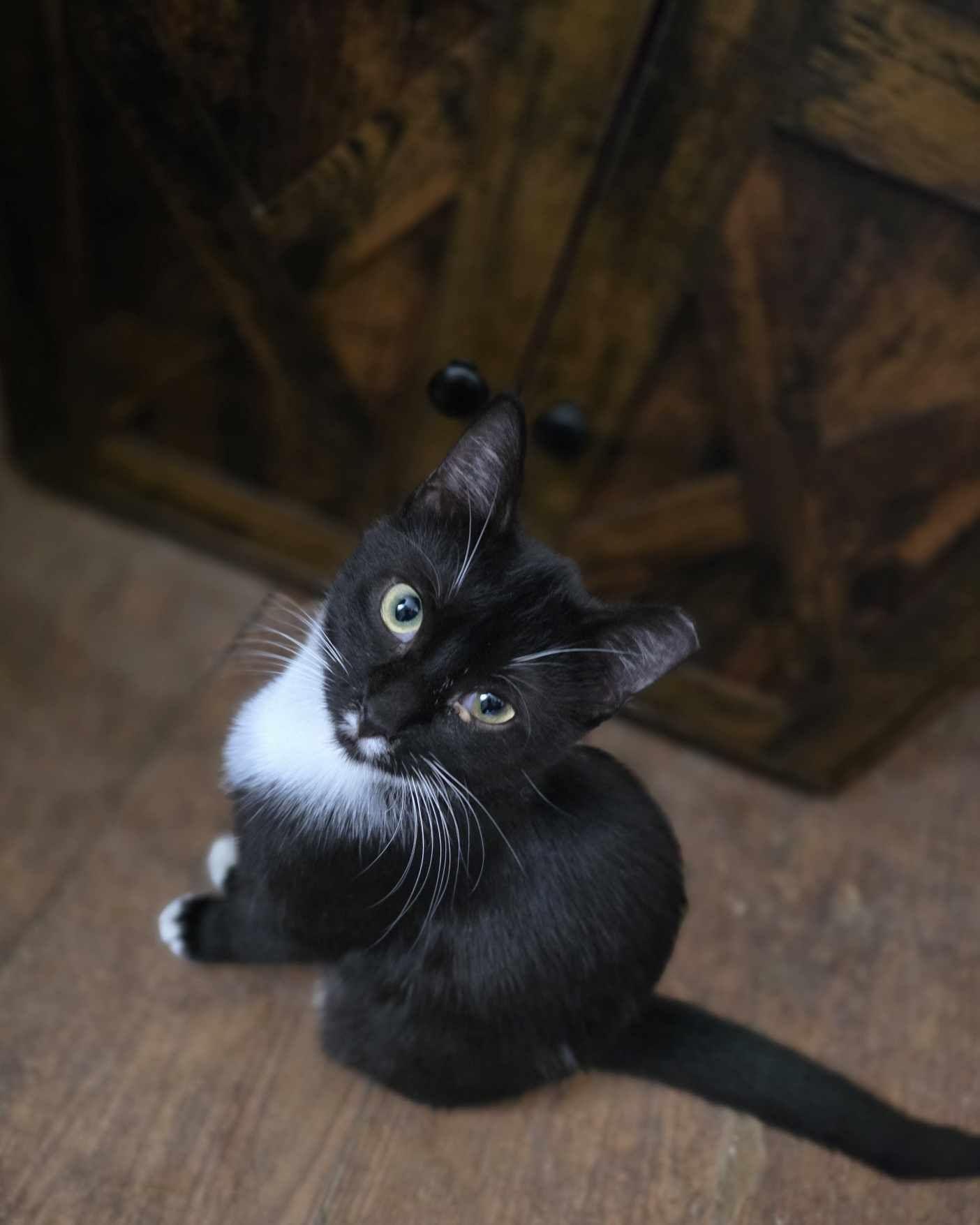 Gretel — thumbnail 3