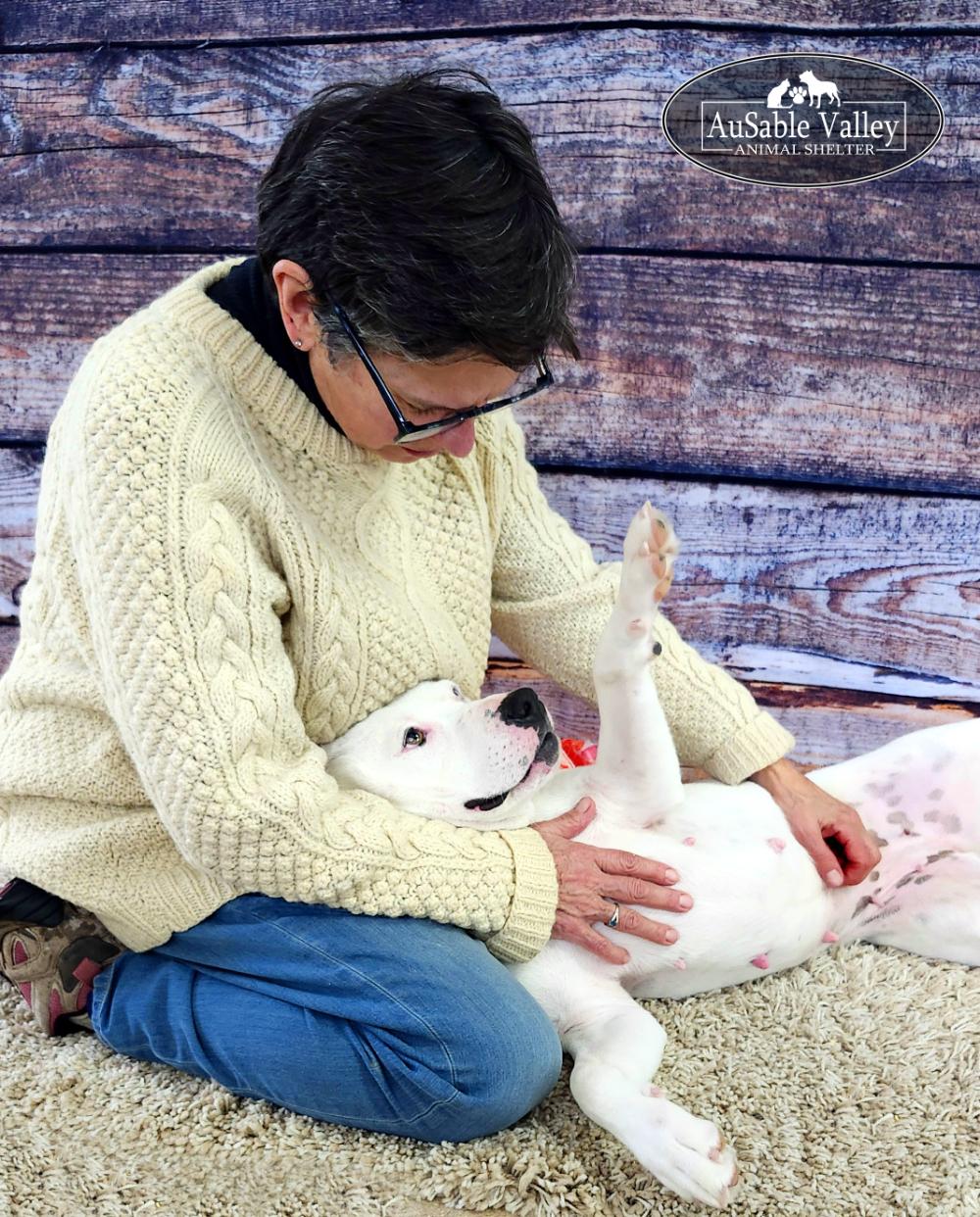 Enlarge Luna, a Adoptable mixed breed in Grayling, MI image 6/6