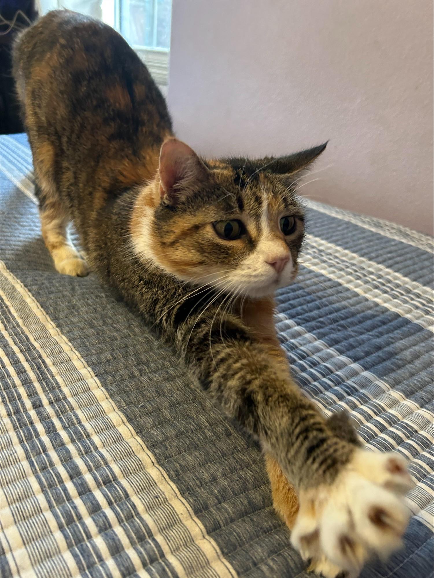 Boots — thumbnail 3