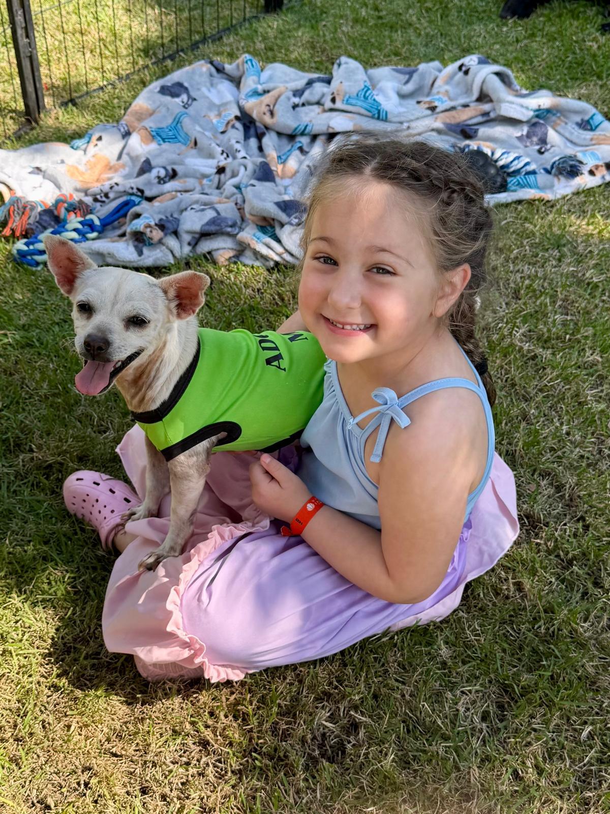 Lina, an adopted mixed breed in Kelowna, BC image 3/6