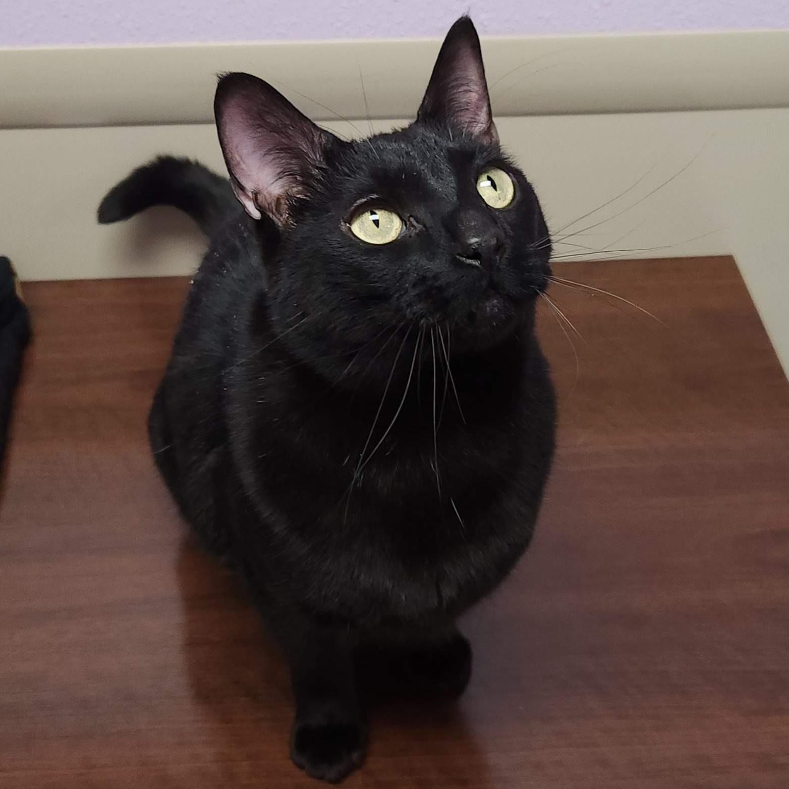 Captain & Crunch thumbnail 5