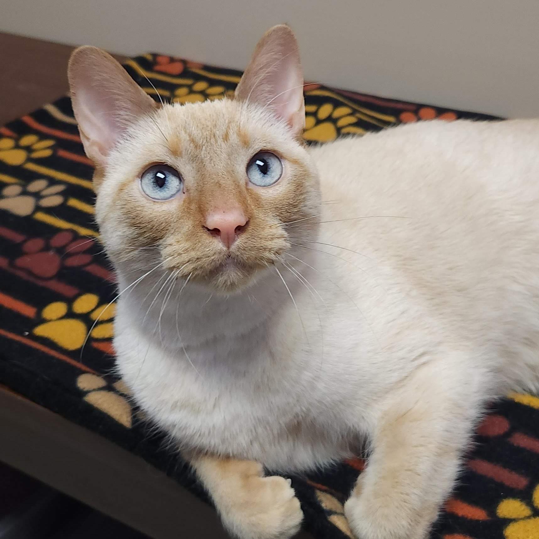 Captain & Crunch thumbnail 4